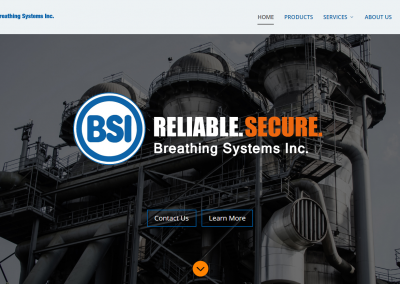Life Support Systems Website Design
